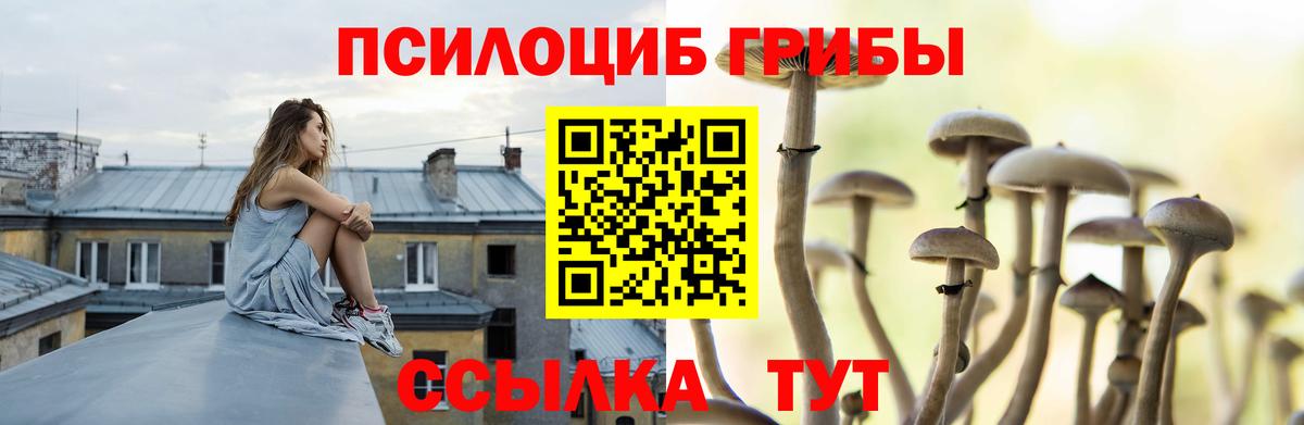 Псилоцибиновые грибы мицелий  Вход с VPN  Иваново  даркнет сайт  Псилоцибиновые грибы Magic Shrooms 